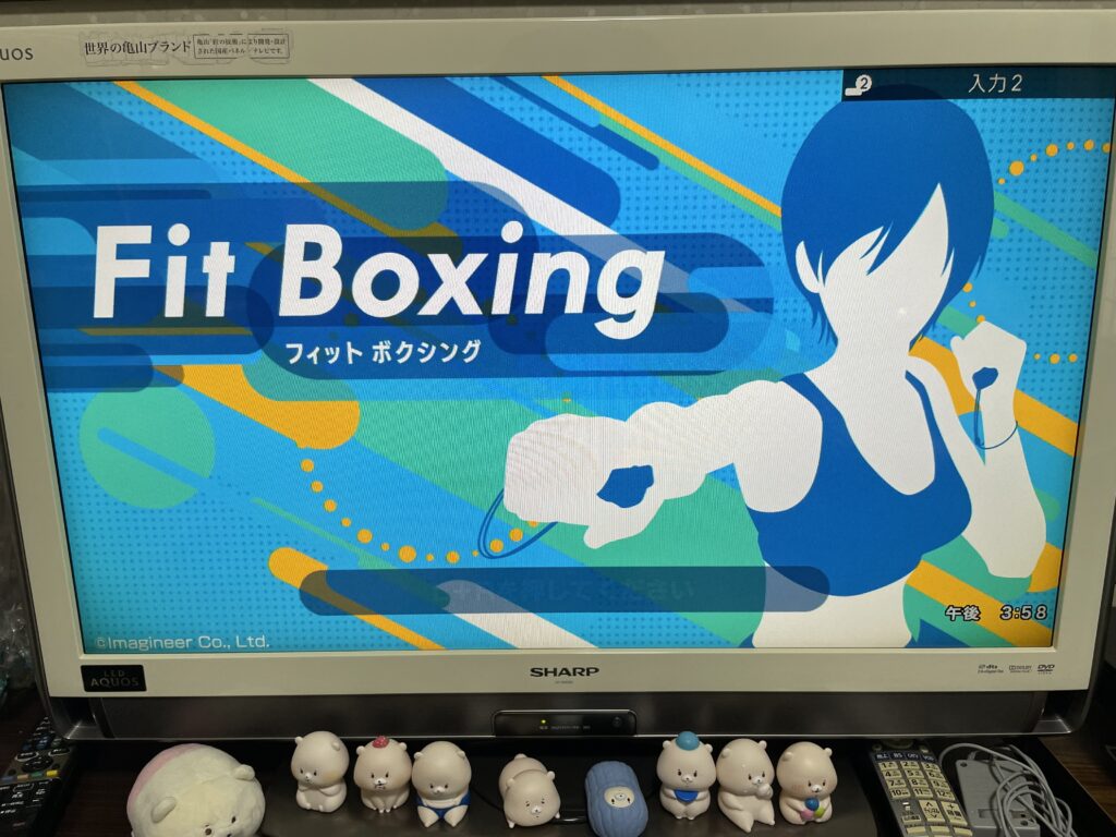 フィットボクシング　fitboxing